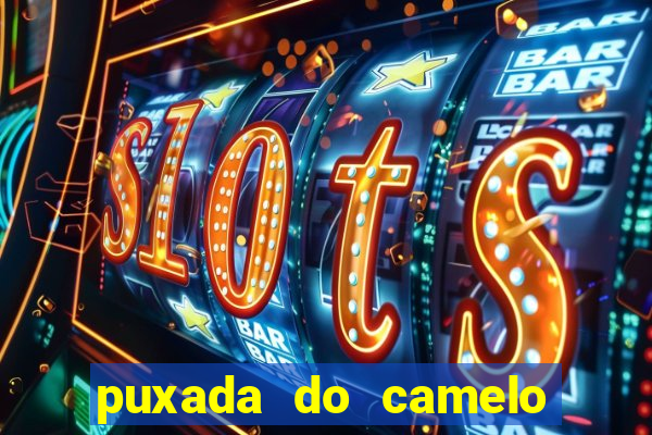 puxada do camelo jogo do bicho